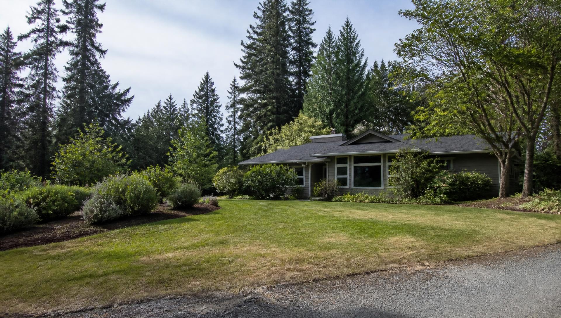 Cleared, well-maintained residential property beneath Santa Cruz redwoods